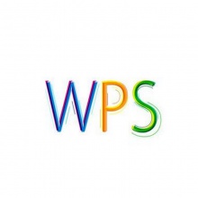 WPS专业版