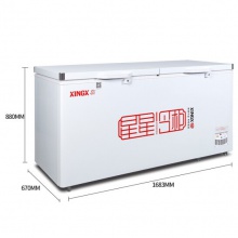 星星（XINGX）BD/BC-518G 518升商用大容量卧式冰柜 冷藏冷冻转换单温大冷柜