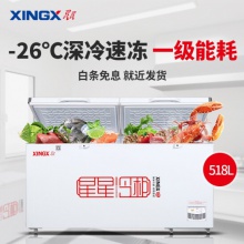 星星（XINGX）BD/BC-518G 518升商用大容量卧式冰柜 冷藏冷冻转换单温大冷柜