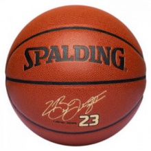 斯伯丁Spalding 74-644Y 詹姆斯签名篮球 NBA室外 篮球