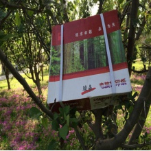 针式打印纸241-2骏森1000页不撕边