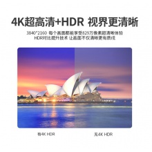 创维（SKYWORTH）43B20 43英寸4K超高清 HDR 商业显示 ECO节能 酒店功能 人工智能家用商用电视机