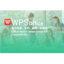 办公软件 WPS Office2019 专业版
