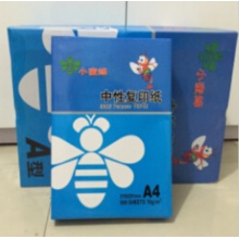 小蜜蜂A4纸