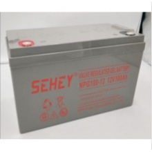 SEHEY西力电池NP100-12,12V100AH，UPS专用电池
