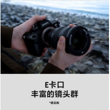 索尼（SONY）Alpha 7R III 机身 全画幅微单数码相机